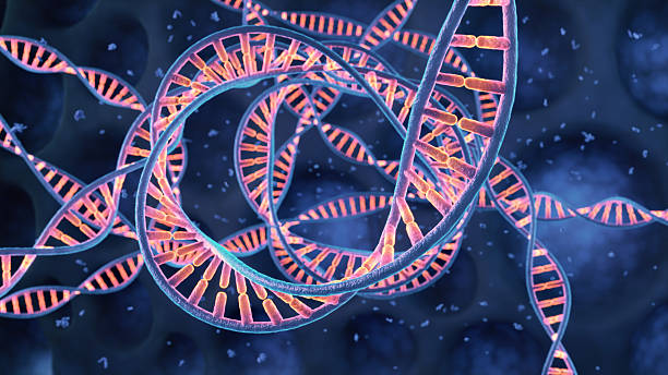 istock Colorful DNA helix concept 2246668239