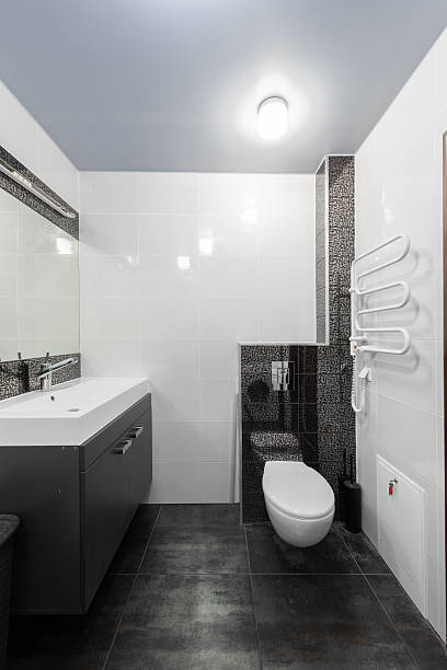 istock Modern Home Bathroom With Stylish Black and White Interior and Contemporary Features 2246669900