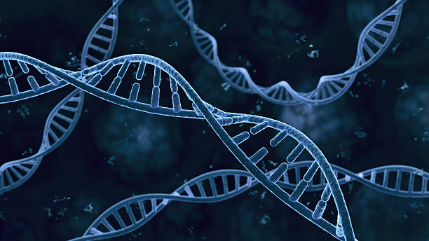 istock Conceptual DNA helix suspended on a defocused background 2246675619