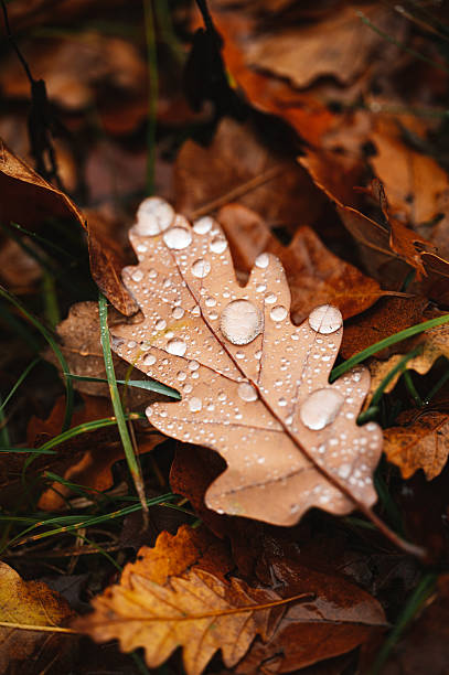 Find beauty in the small things