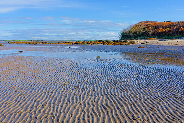 Across the rippled sands of Penrhos beach on Anglesey to seaweed covered rocks.
