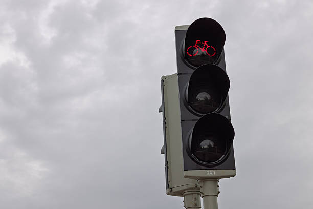 A close-up shot of a modern Dutch traffic light for cyclists showing a red bicycle icon, signaling that cyclists must stop and wait