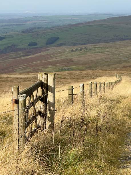 The view from Hartside Pass in Cumbria, looking north towards the Scottish borders on an autumn day