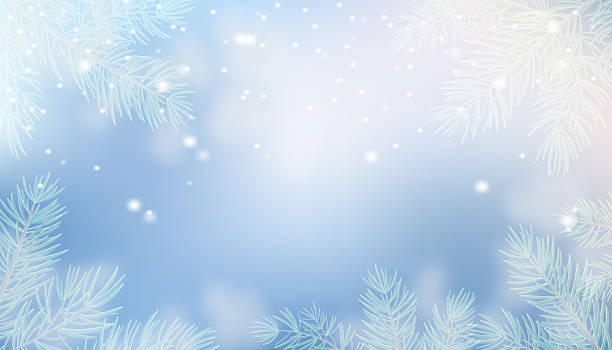istock A blue winter sky with falling fluffy snowflakes and fir tree branches. A deblurred Christmas vector background with soft light effects for holiday wallpapers, posters, banners, and greeting cards. 2246682358
