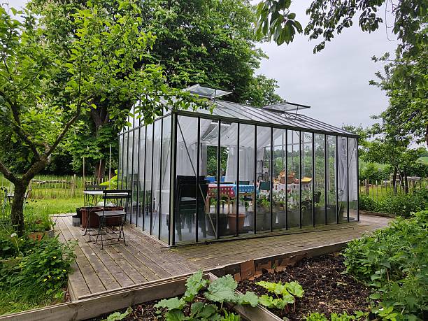 istock Frame glass greenhouse in a lush garden setting 2246682482