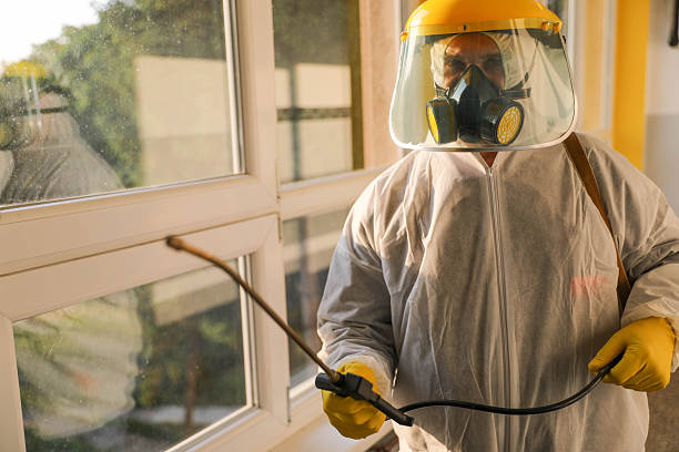 istock Industrial Safety Expert In Full Protective Gear At Work 2246683231