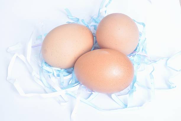 fresh brown chicken egg shell out on paper nest isolated in white background