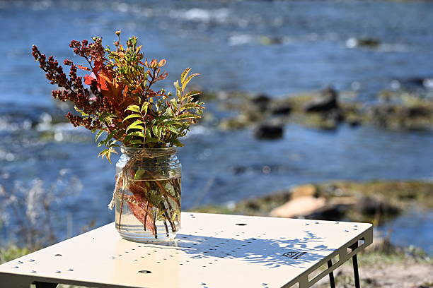 A vibrant bottle filled with colorful greenery sits on a small riverside table, creating a serene and whimsical still life in nature.