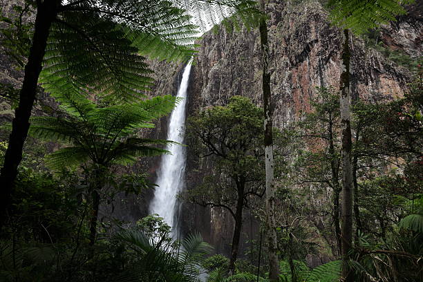 Wallaman Falls, Girringun National Park Queensland Australia