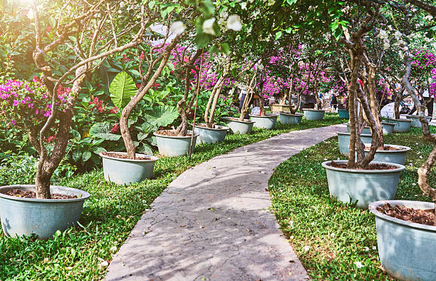 Stone walkway in flower garden