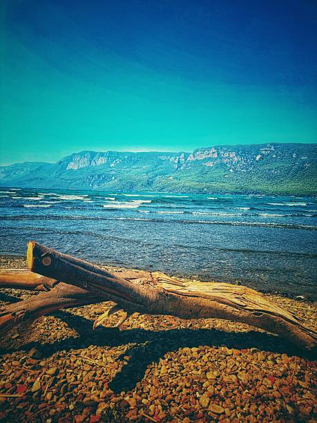An old, weathered piece of driftwood rests on the sunlit shore, shaped by waves, salt, and time. The bright day highlights its textures and contrasts beautifully with the calm sea, creating a peaceful coastal moment filled with natural simplicity.