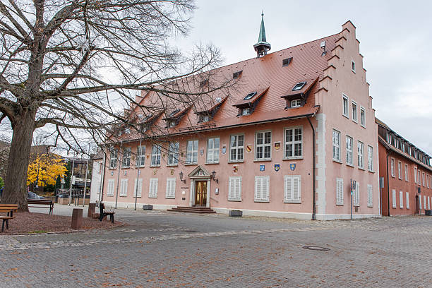 istock The town hall in Breisach am Rhein, Germany 2246692454