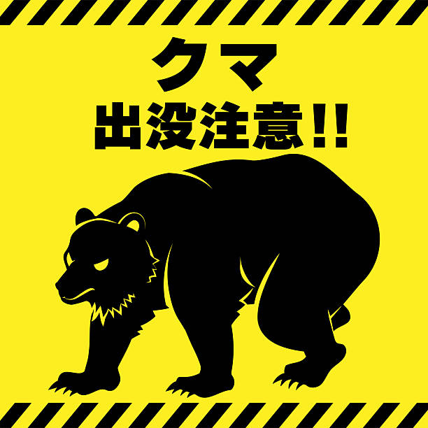 istock Silhouette of a threatening bear, illustration warning of bear sightings 2246692569