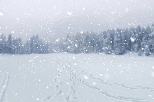 Natural Christmas background. Winter landscape. Rustic wooden house in the snow covered forest. Bokeh. Space for text.