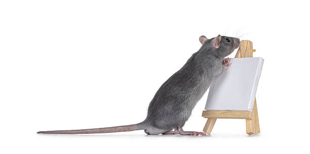 istock Rat with painters easel on white 2246699946
