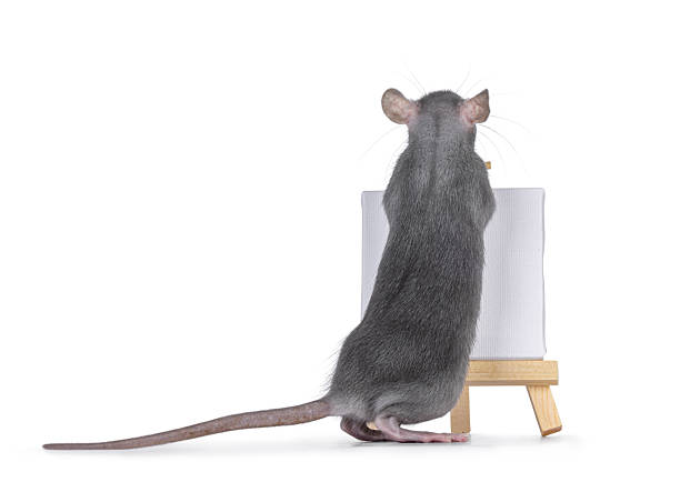 istock Rat with painters easel on white 2246699984