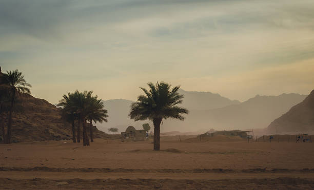 Sahara Desert; Morocco - June 23, 2010: Pink Kasbah stands in rippled sand dunes.
