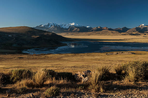 Dramatic afternoon light illuminates the Conococha lagoon and high-altitude plateau in Ancash, Peru. The snow-capped Cordillera Blanca mountain range stands in the distance under a clear blue sky.