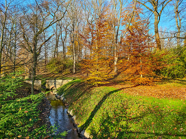 Stunning autumn forest landscape featuring peaceful stream flowing through vibrant fall foliage with colorful orange, yellow and green trees under blue sky. Scenic creek with stone bridge in background creating idyllic seasonal scenery with fallen leaves and lush moss-covered banks. Perfect for nature backgrounds, seasonal marketing campaigns, outdoor recreation concepts, landscape photography portfolios, environmental themes and autumn celebration designs. Captures tranquil woodland beauty ideal for wellness and eco-tourism content.