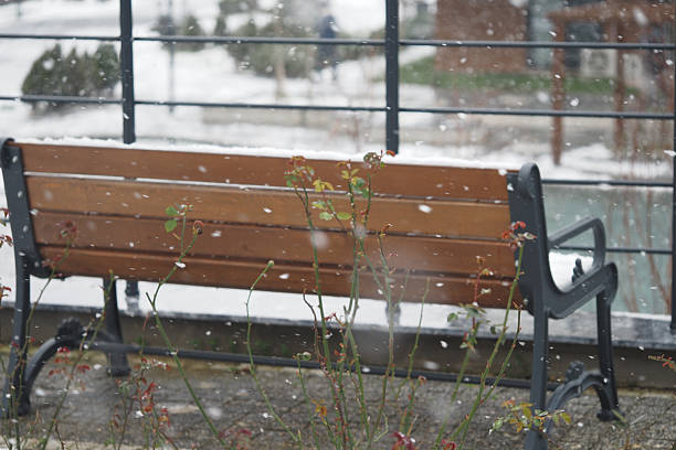 A park bench covered with snow sits in a winter landscape.