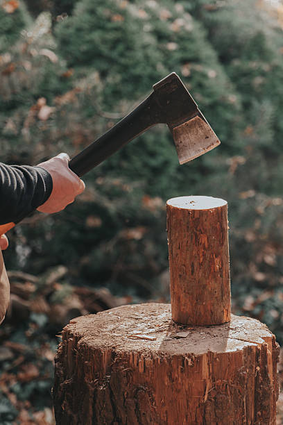 istock man chops wood on a large stump outside.Heating season. Solid heating fuel.Preparing firewood for the heating season 2246707922