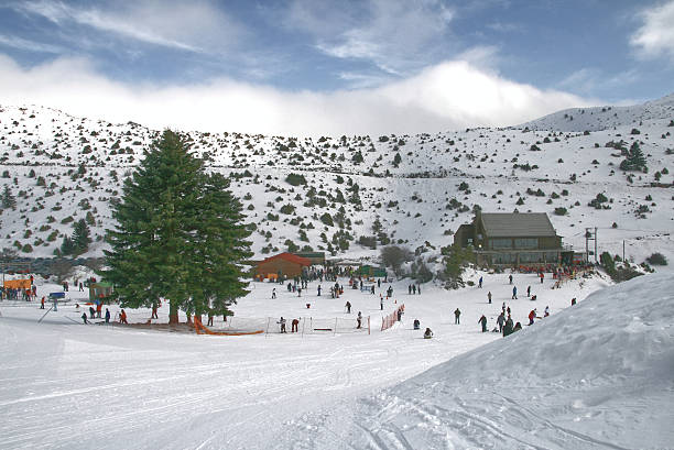 Group of friends skiing on winter holidays at the mountains having fun on the snow