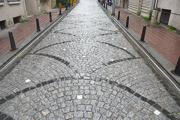 Paved road displays intricate cobblestone design in a city setting.