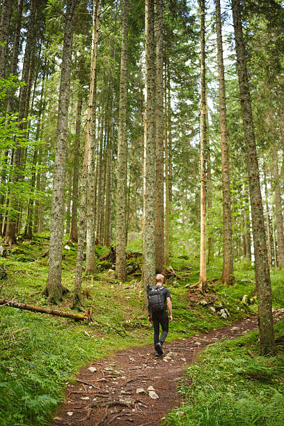 istock Young man hikes trail in forest 2246710980