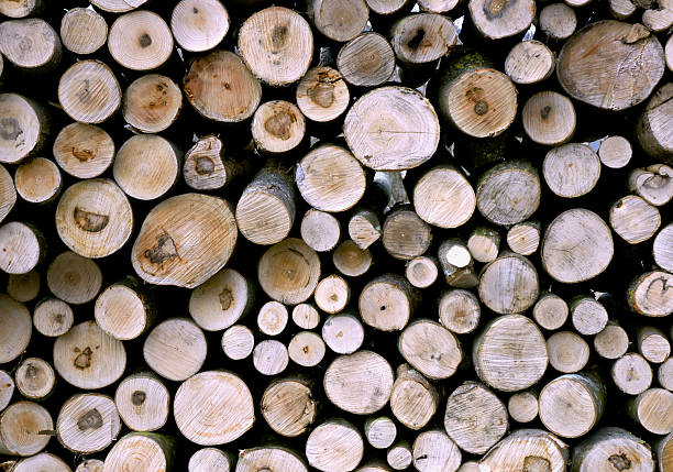 Firewood wall, dry chopped firewood background. Woodpile background.