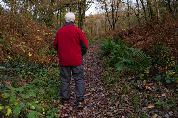 istock Senior man walking on a woodland path 2246712628