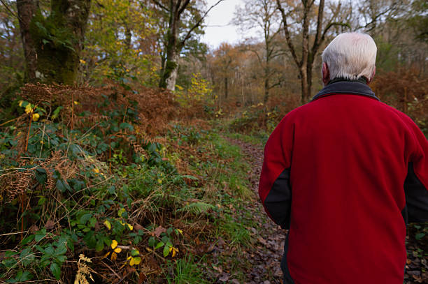 istock Retired man walking on a woodland path in Scotland 2246712649