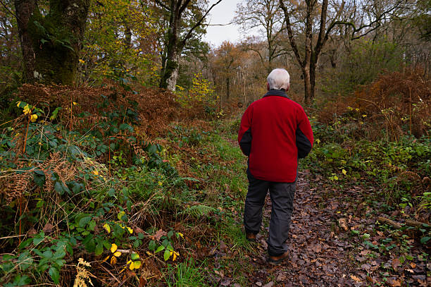 istock Senior man walking on a woodland path 2246712662