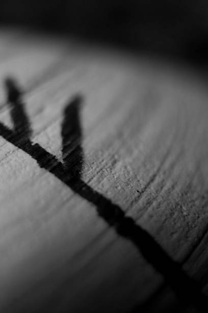 istock Macro photograph of a rune 2246716528