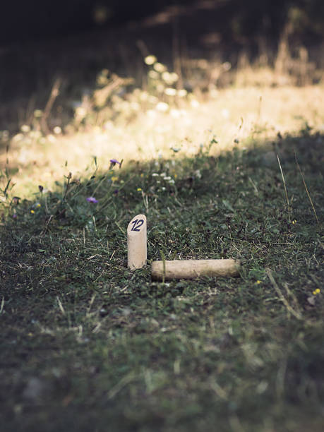 Old training cricket sport equipments on dark floor, leather ball, wickets, helmet and wooden bat, soft and selective focus, traditional cricket sport lovers around the world concept.