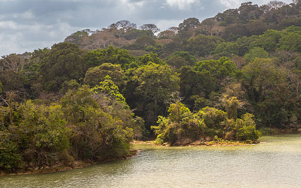 istock Gatun Lake in the Panama Canal 2246723501