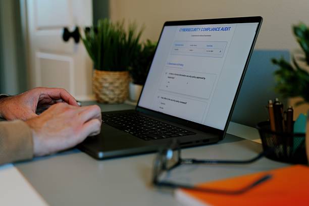 istock Conducting Cybersecurity Audit for Consulting Firm 2246728439