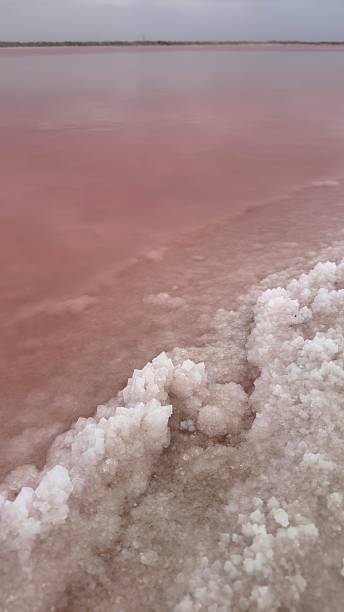 istock Pink pool with salt crystals, Walvis Bay, Namibia 2246733683