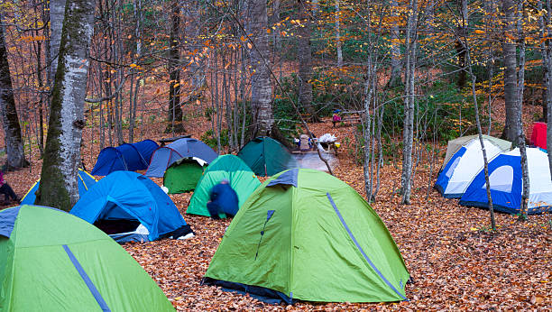 camping in the forest of Bolu