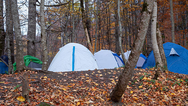 istock camping in the forest of Bolu 2246734169