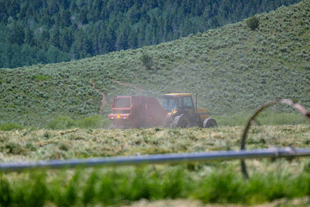 Yellow tractor towing hay baler in open field with mountain backdrop.