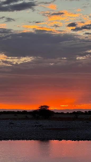 istock A colorful sunset over a watering hole in the savannah, Namibia 2246736818