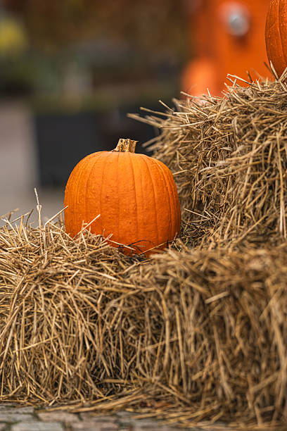 istock Orange pumpkin resting on hay bales during autumn harvest.. 2246739166
