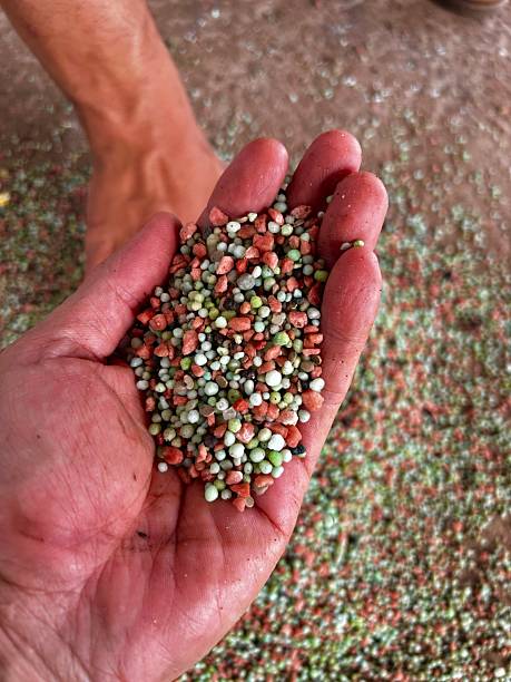 istock Fertilizer grains. Fertilizer for agriculture and livestock. 2246748197