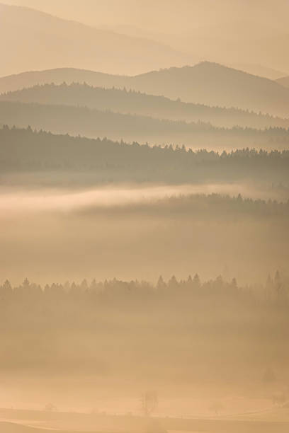 istock SILHOUETTE: Misty layers move through the forested hills in soft morning light 2246748522