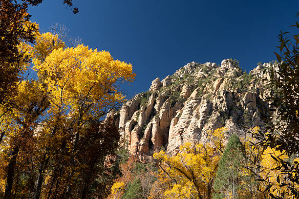 Scenic fall colors abound in Northern Arizona's Resort destination town of Sedona Arizona.