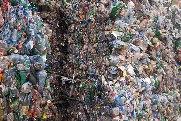 istock Densely packed plastic bottle bales arranged for recycling. The scene shows a mix of crushed bottles in various colors and brands, symbolizing environmental sustainability and plastic waste processing 2246755607