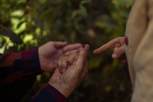 Close-up of the hands of an elderly man holding a Ladybug and showing it to his curious grandson