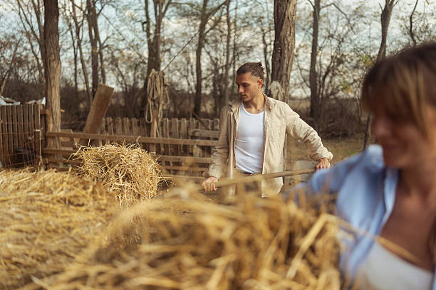 Young man outdoors on a sheep farm raking hay near wooden fences and leafless trees, wearing casual farm clothing featuring a white tank top and beige shirt in a rustic rural environment