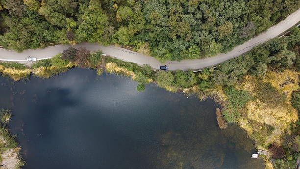 istock forest, tall trees, lake in the forest 2246772962