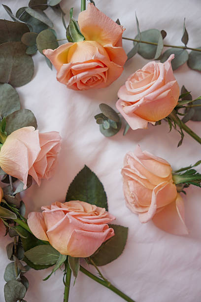 Several peach-colored roses with green leaves, artistically arranged on a white linen background